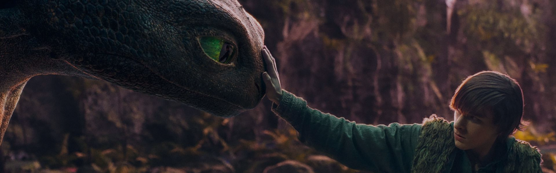 Cómo entrenar a tu Dragón