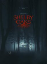 Terror en Shelby Oaks