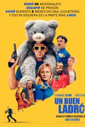 Un buen ladrón