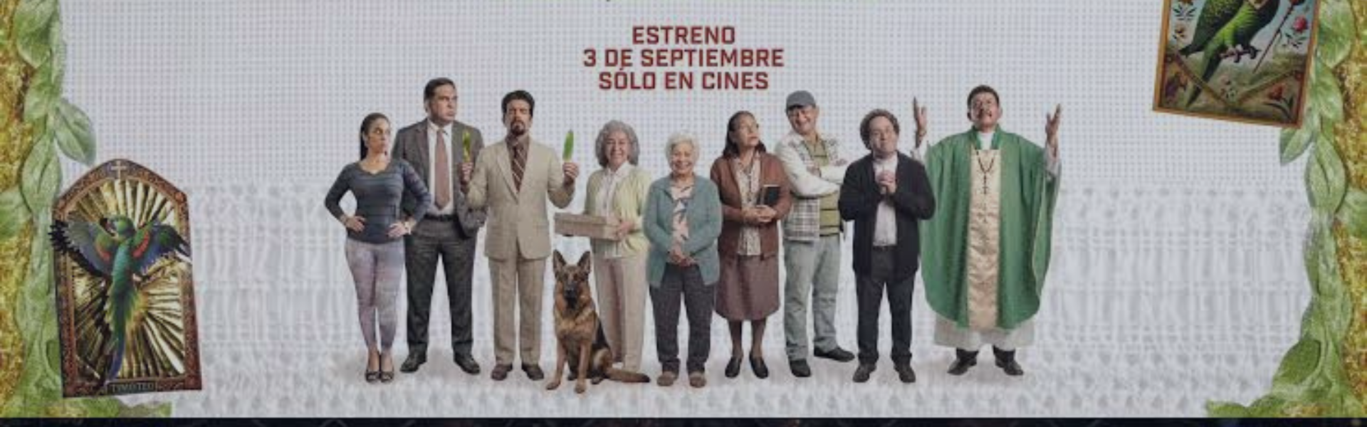 Timoteo: El Loro que se volvió Santo